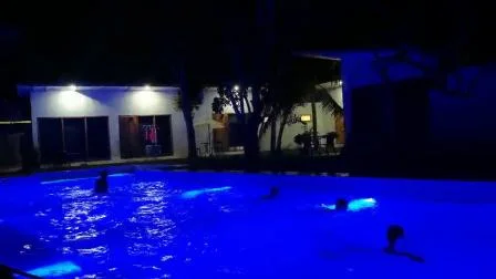 Tampa de aço inoxidável 12V 24V IP68 LED luz subaquática para piscina